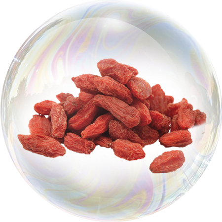 Bayas de goji (Lycium berries)
