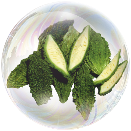 Fruto de Melón Amargo