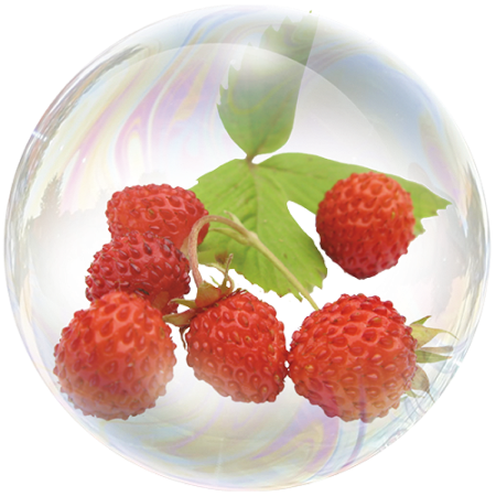 Fresa silvestre (Fragaria vesca)