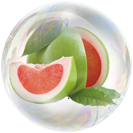 Oroblanco (Citrus maxima)