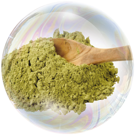 Semillas de cáñamo (Cannabis sativa)